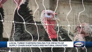 NH turkey farmers feel impact of supply chain shortage