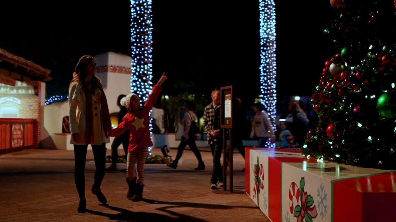 Jack Miller Christmas at the Princess 2021 Overview YouTube