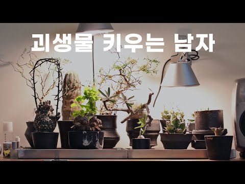 The story of a man who spent over 5 million won on raising a monster.