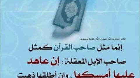 أفضل مارتل سعيد دباح الجزائري من سورة يوسف afdal ma ratal said dabah min surat Yousuf