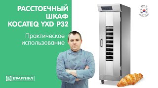 Расстоечный шкаф Kocateq YXD P32 | Расстойка сдобных булочек | Обзор от Дениса Машкова