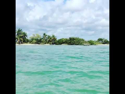 Video: Corozal Belize ha spiagge?