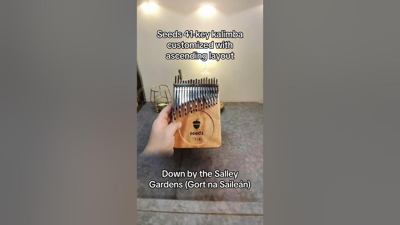 🤯 #Seeds 41-key #kalimba customized with ascending layout by a friend 💡  #DownByTheSalleyGardens 