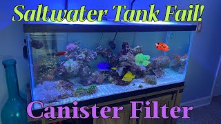 Fixing Saltwater tank with Canister filter by Aquarium Service Tech 4,765 views 3 months ago 10 minutes, 12 seconds