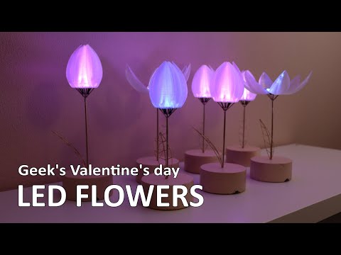 Video: Reinventarea grădinii interioare: Faceți clic și creați flori electronice
