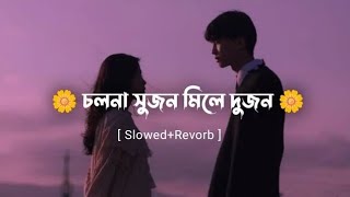 চলনা সুজন মিলে দুজন | Cholna Sujon Mile Dujon | Slowed   Reverb | Bangla Lofi Song