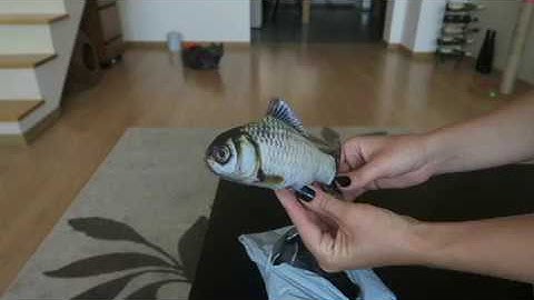 Cat toy Catnip Fluffy Fish Kitty Interactive Chewings
