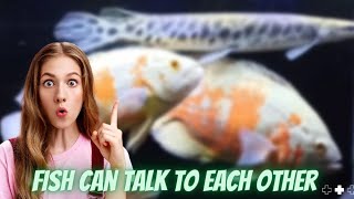 Fish can talk to each other screenshot 1