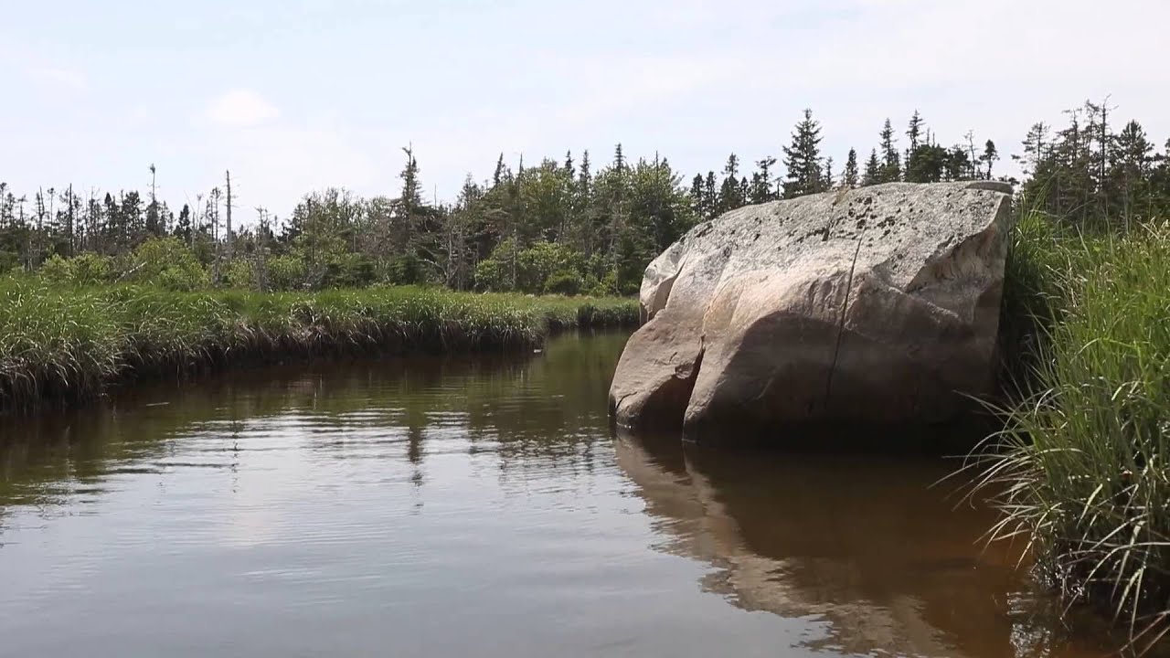 nature kpop Young's Island, Nova Scotia