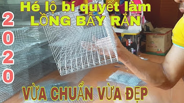 Revealing the secret to making standard and beautiful SNAKE TRAPS of Wild Central Highlands || Sn...