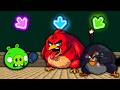 ANGRY BIRDS VS PIG FNF Character Test Gameplay VS ANGRY BIRDS VS PIG FNF Character Test Gameplay VS