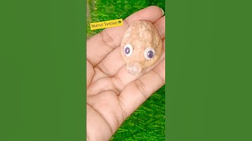 DIY Walnut Cute Tortoise 🐢😱 #shorts #diy #artandcraft #ytshorts #craft #trending #creative #ideas