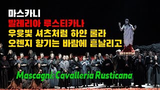 마스카니: 카발레리아 루스티카나 | 우윳빛 셔츠처럼 하얀 롤라 | 오렌지 향기는 바람에 흩날리고 | Mascagni: Cavalleria Rusticana | 시칠리아의 부활절
