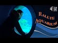 Team Building at Paris Aquarium 🐠