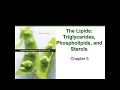 The Lipids (Chapter 5)