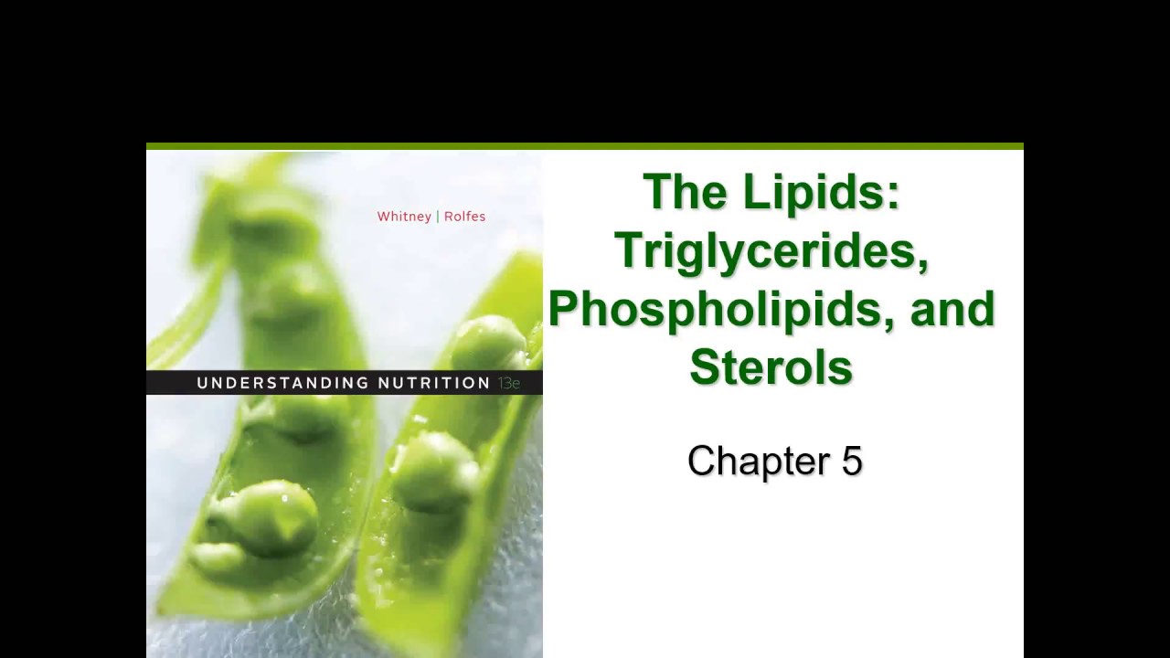 The Lipids (Chapter 5) - YouTube