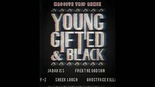 Jay-Z, Jadakiss, Fred The Godson, Ghostface &amp; Sheek Louch - Young Gifted &amp; Black (Massive Trip RMX)