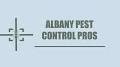 Albany Pest Control Pros from m.youtube.com