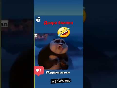 шафтолу дзои норак