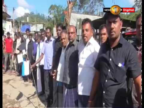 Tea Estate Workers Strike Again