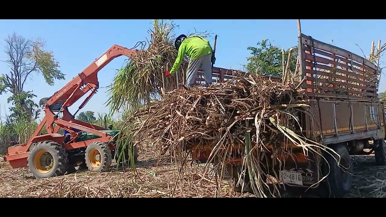 อ้อยเสื่ยเม้า