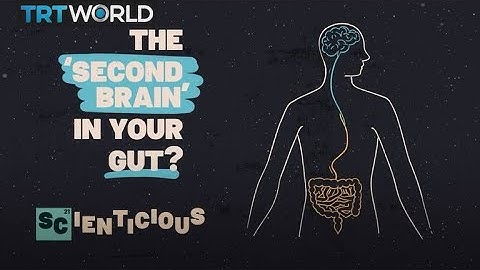 The body’s second brain, explained | Scienticious - Episode 1
