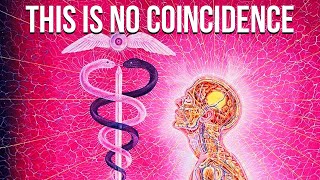 The Symbolic Meaning of Impossible Coincidences | Carl Jung The Symbolic Meaning of Impossible Coincidences | Carl Jung