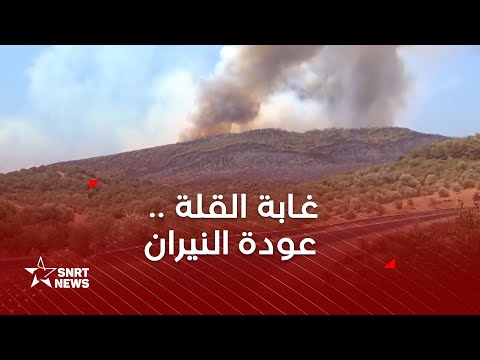 غابة القلة عودة النار