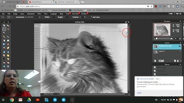 Invert Exercise In Pixlr Editor
