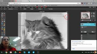 Invert Exercise In Pixlr Editor