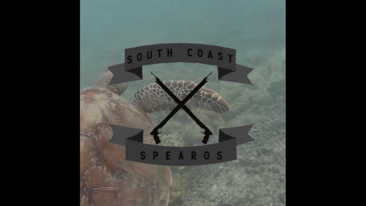 Spearfishing Victoria Dedicated To Duskys YouTube
