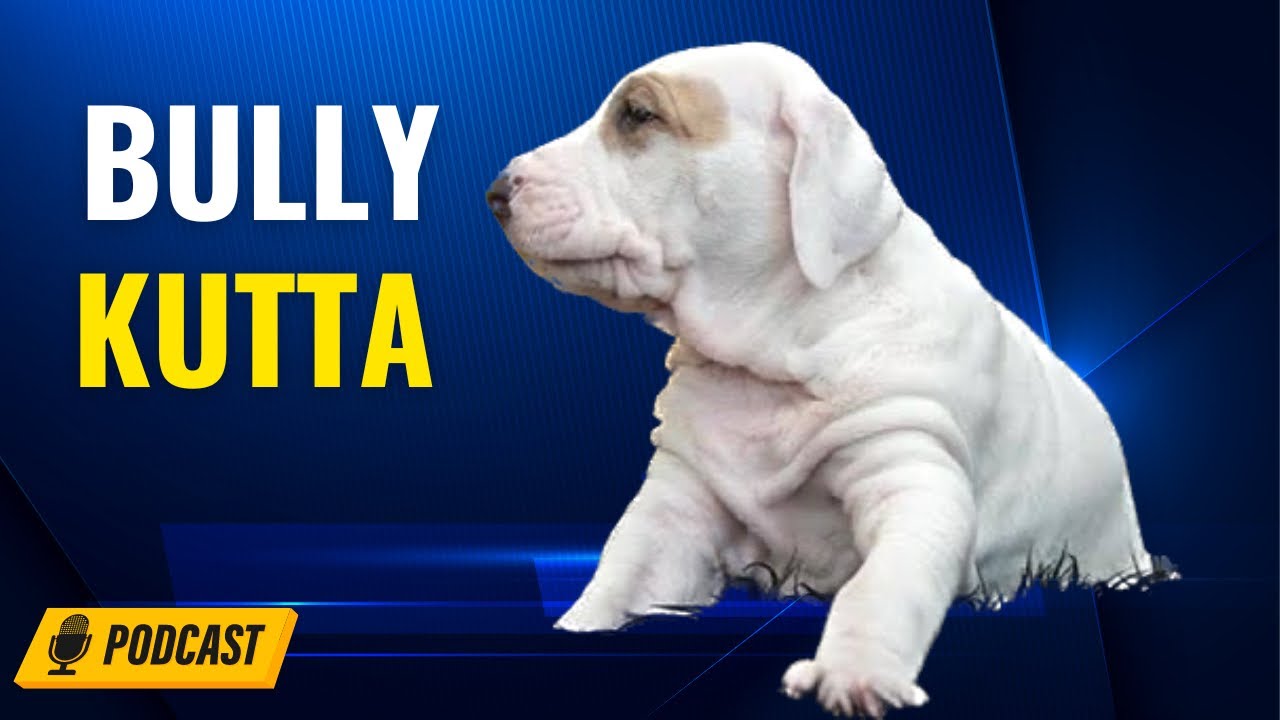 Episode 79: Bully Kutta - Imran Malik Ancient Asiatic Mastiff