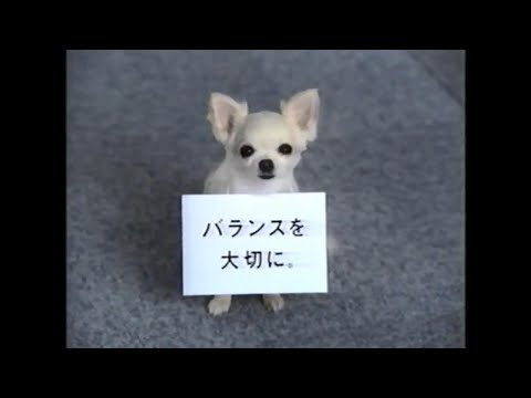 岡山エリアCM『2005年⑫』（’05/9/22・10月・CM＆提供クレジット）詰め合わせ・アイフル/ビクター/日産/月桂冠/トヨタホーム/P&G