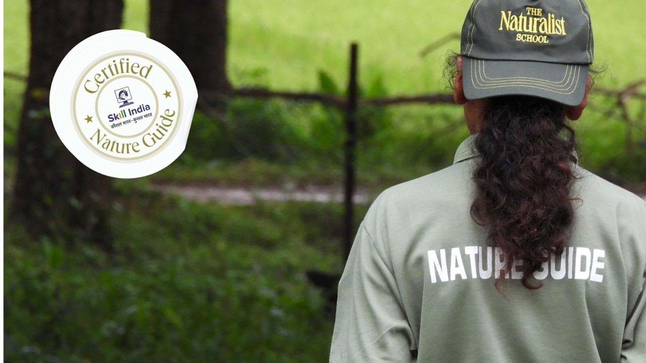 The Naturalist School | Kanger Valley | Certified Nature Guide - YouTube