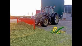 Valtra S374 & Holaras 5m 400Hp In Trincea | Biogas Corn Silage