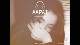 AADAT | Slowed x Reverb |New Song 2024 |Latest Songs |most viral song