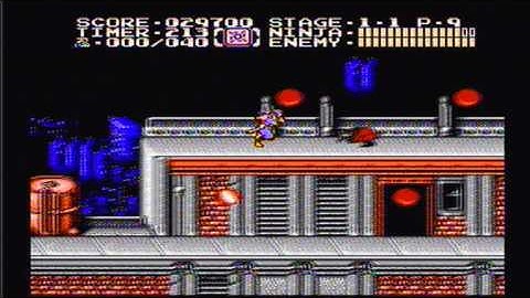 Game Genie Goofiness - Ninja Gaiden II - EATPOO