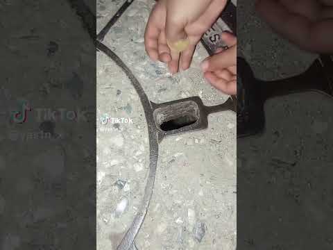 كي كنت صغير كنت نرمي فلوس في روقارا باش سلاحف نينجا يشرو بيهم بيتزا 