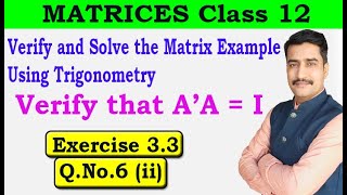 Verify and Solve the Matrix Example Using Trigonometry
