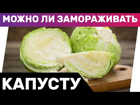 Можно ли замораживать капусту? Советы по заморозке