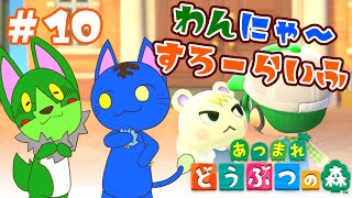 【Vtuber】ぬめゲコらいふ わんにゃ～スローライフ〔あつまれ どうぶつの森〕#10