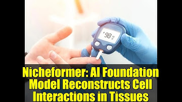 Nicheformer: AI Foundation Model Reconstructs Cell Interactions in Tissues