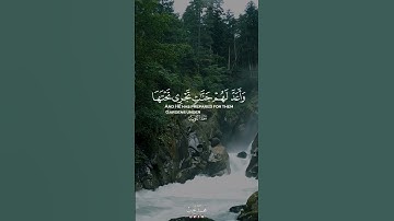 والسابقون الأولون | سورة التوبة