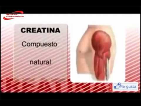 la-creatina-¿que-es-y-para-que-sirve?