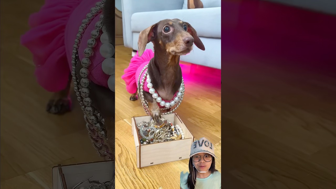 Ювелирные изделия никогда не бывают лишними⁉️💍🤩