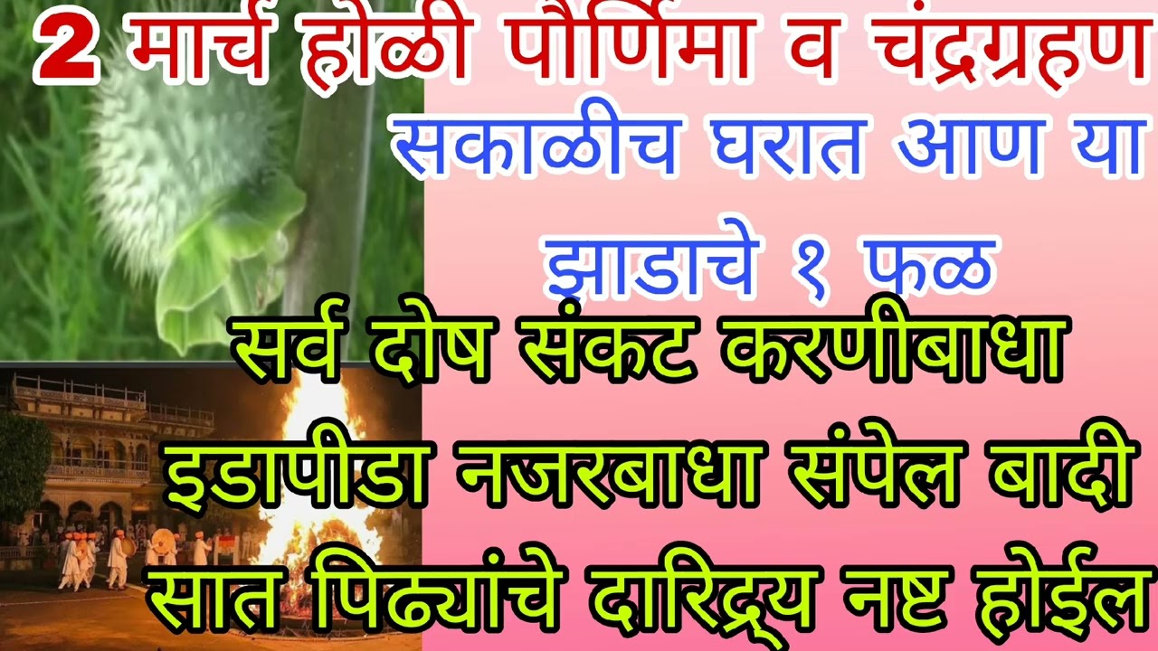 होळी #पौर्णिमा सकाळीच घरात आणा या झाडाचे १ फळ, सात पिढ्यांचे दारिद्र्य, आजारपण, कर्ज, दोष नष्ट होतील