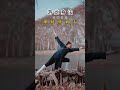 This move the Dragon Roaming Body Technique is one of my daily routine exercises. The move