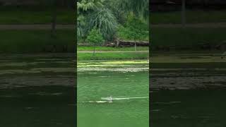Ex Hacienda de Chautla en Puebla, México 🇲🇽