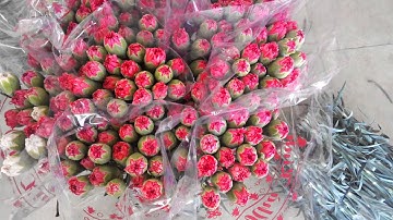 sieuthidalat.net: Bán sỉ, lẻ, bỏ mối đặc sản Đà Lạt