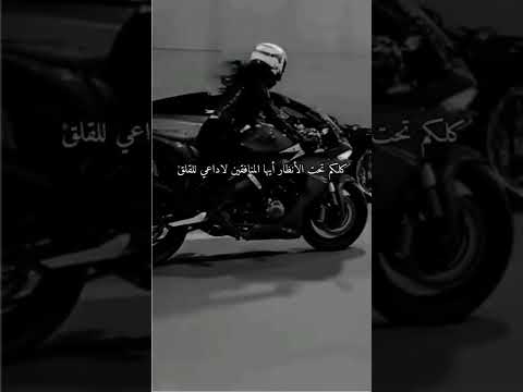 كلكم تحت الأنظار أيها المنافقين لا داعي لقلق